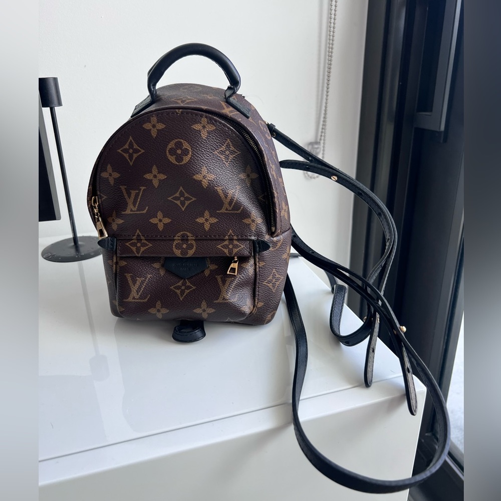 Louis Vuitton Palm Spring Mini Backpack - Picture 2 of 8